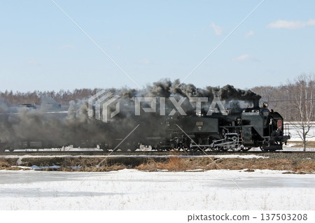 SL Winter Wetlands Train, Senmo Main Line, SL Train, Steam Locomotive, C11 171 SL Winter Wetlands Train, Senmo Main Line, SL Train, Steam Locomotive, C11 171 137503208