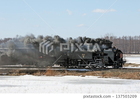 SL Winter Wetlands Train, Senmo Main Line, SL Train, Steam Locomotive, C11 171 137503209