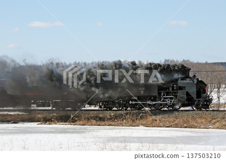 SL 冬季濕地列車,森莫本線,SL 列車,蒸汽機車,C11 171 SL 冬季濕地列車,森莫本線,SL 列車,蒸汽機車,C11 171 137503210