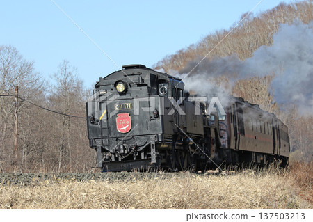 SL 冬季濕地列車,森莫本線,SL 列車,蒸汽機車,C11 171 SL 冬季濕地列車,森莫本線,SL 列車,蒸汽機車,C11 171 137503213