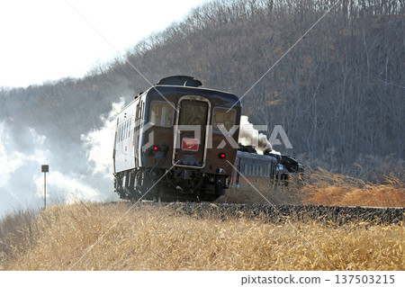 SL Winter Wetlands Train, Senmo Main Line, SL Train, Steam Locomotive, C11 171 137503215
