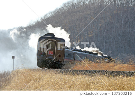 SL 冬季濕地列車,森莫本線,SL 列車,蒸汽機車,C11 171 SL 冬季濕地列車,森莫本線,SL 列車,蒸汽機車,C11 171 137503216