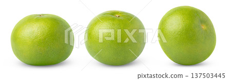 Collection of whole pomelit or pomelo fruits isolated. Oroblanco fruits set. Sweetie grapefruit citrus fruit isolated. Collection of whole pomelit or pomelo fruits isolated. Oroblanco fruits set. Sweetie grapefruit citrus fruit isolated. 137503445