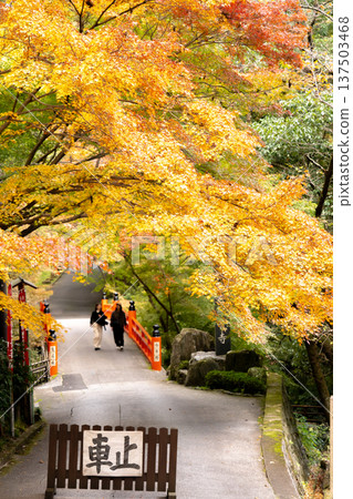 Imakumano Kannonji Temple (15th temple on the pilgrimage to the 33 temples of the Saigoku Kannon Pilgrimage) in Higashiyama, Kyoto. Autumn leaves on the approach and the torii bridge. 137503468