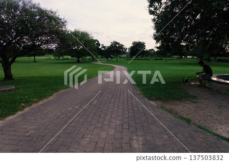 夕陽下的公園裡 137503832