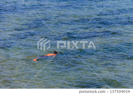 Man snorkeling in the Black Sea in Bulgaria Man snorkeling in the Black Sea in Bulgaria 137504034