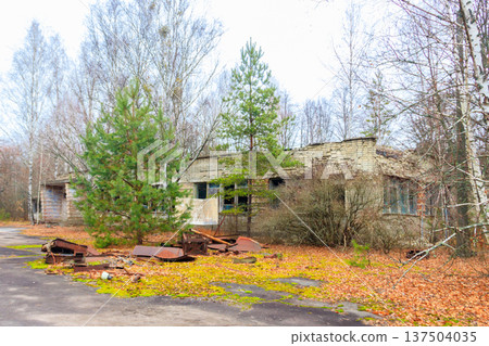 Old abandoned house in the ghost town Pripyat in Chernobyl Exclusion Zone, Ukraine Old abandoned house in the ghost town Pripyat in Chernobyl Exclusion Zone, Ukraine 137504035