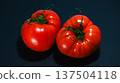Shiny red tomatoes 137504118