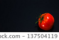 Shiny red tomatoes 137504119