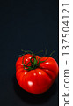 Shiny red tomatoes 137504121