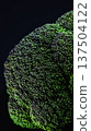 Broccoli floating on a black background 137504122