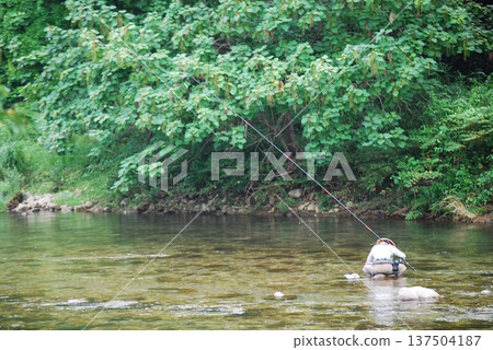 一名男子在釣香魚 137504187