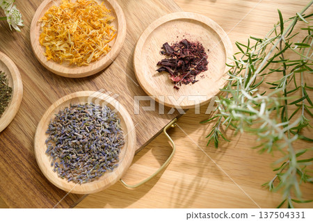 與草藥一起生活 與草藥一起生活 137504331