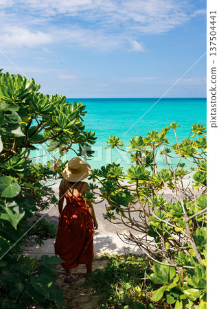一位女子在熱帶植物叢中走向大海 137504441