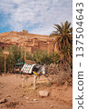 A donkey carries goods in Morocco, ready for transport through the ancient village 137504643