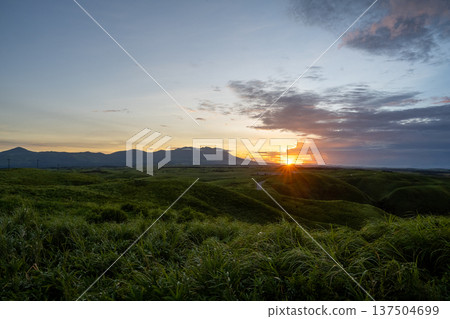 Meadow illuminated by the setting sun Meadow illuminated by the setting sun 137504699