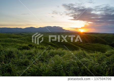 Meadow illuminated by the setting sun 137504700