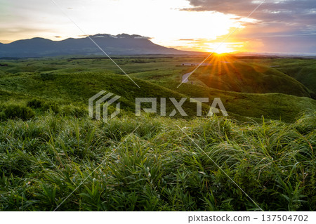 Grassland illuminated by the morning sun Grassland illuminated by the morning sun 137504702