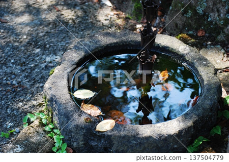 Hand bowl Hand bowl 137504779