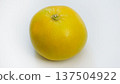 鳳梨橙 137504922