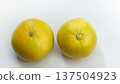 鳳梨橙 137504923