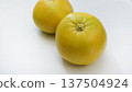 鳳梨橙 137504924