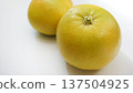 鳳梨橙 137504925