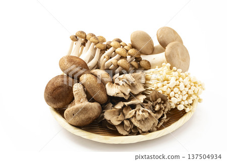 Assorted mushrooms in a colander Assorted mushrooms in a colander 137504934
