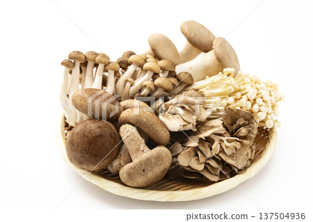 濾鍋裡的各種蘑菇 濾鍋裡的各種蘑菇 137504936