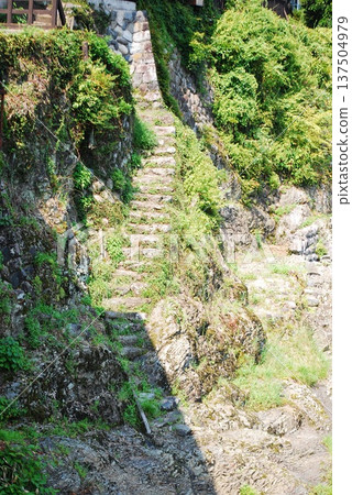 Mossy stone steps 137504979