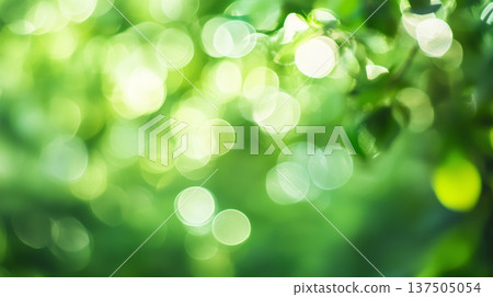 Green bokeh background from nature forest out of focus 137505054
