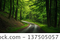 Green forest environment. Beautiful Forest 137505057