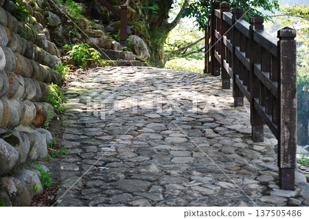 A cobblestone walk 137505486