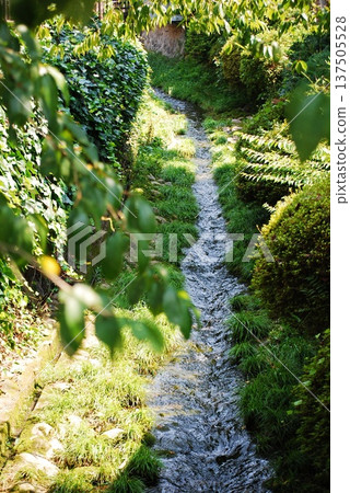 Landscape with Brooks Landscape with Brooks 137505528
