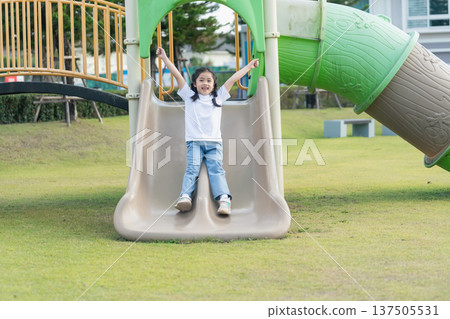 Joyful child sliding down a playground slide, smiling and enjoying the sunny day in a green park setting with playground equipment nearby Joyful child sliding down a playground slide, smiling and enjoying the sunny day in a green park setting with playground equipment nearby 137505531