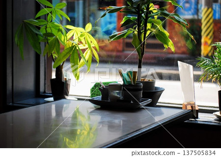 Retro coffee shop Retro coffee shop 137505834