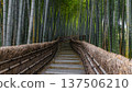 Adashino Nenbutsuji bamboo grove stairs 137506210