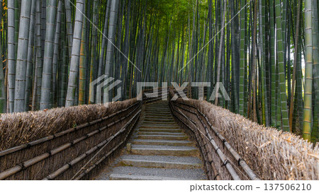 Adashino Nenbutsuji bamboo grove stairs Adashino Nenbutsuji bamboo grove stairs 137506210