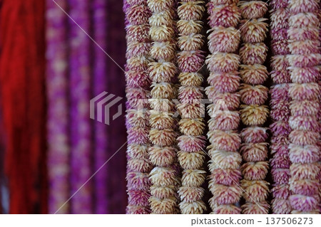 Layers of white clover flowers 137506273