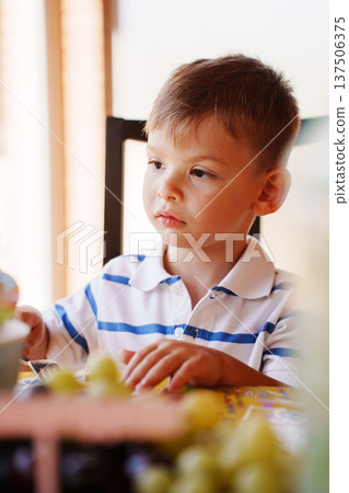 Child sits at table during meal time with fruits Child sits at table during meal time with fruits 137506375