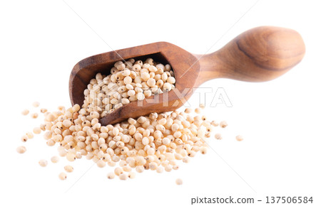 Sorghum seeds isolated on white background. Sorghum bicolor or sorgo grains in wooden spoon. Clipping path. 137506584