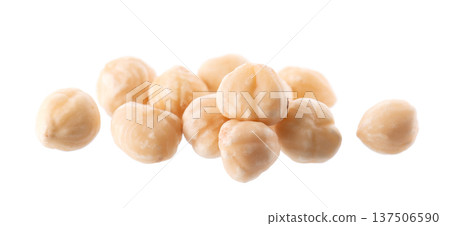 Hazelnut isolated on white background. Peeled hazelnuts. Clipping path. Hazelnut isolated on white background. Peeled hazelnuts. Clipping path. 137506590
