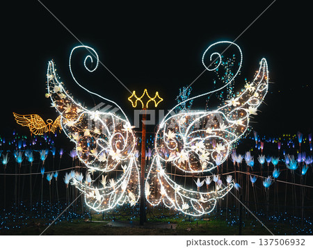 Angel's feathers Angel's feathers 137506932