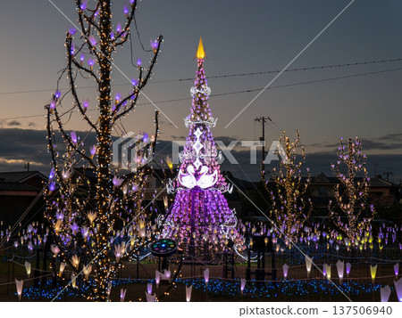 Tree Tree 137506940