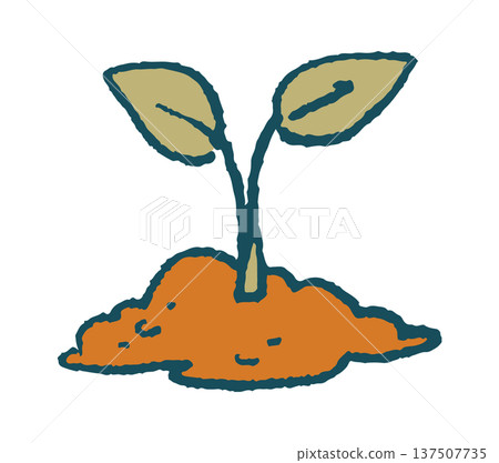 Young seedling sprouting from ground Young seedling sprouting from ground 137507735