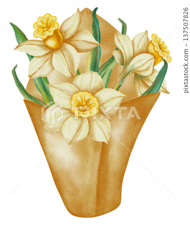 This hand-drawn watercolor illustration depicts a bouquet of white daffodils. This spring floral illustration is perfect for holiday cards, birthdays, International Women's Day, and Easter This hand-drawn watercolor illustration depicts a bouquet of white daffodils. This spring floral illustration is perfect for holiday cards, birthdays, International Women's Day, and Easter 137507826