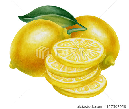 Lemon. Watercolor lemon compositions with whole fruits, slices and green leaves. Hand drawn botanical illustration isolated on white. Perfect for fabric, wallpaper, packaging, and kitchen decor, cafe Lemon. Watercolor lemon compositions with whole fruits, slices and green leaves. Hand drawn botanical illustration isolated on white. Perfect for fabric, wallpaper, packaging, and kitchen decor, cafe 137507958