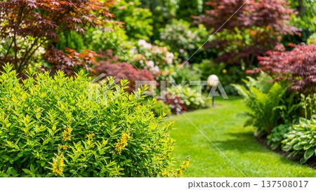 Beautifully landscaped garden with lush green grass and vibrant flowering plants 137508017