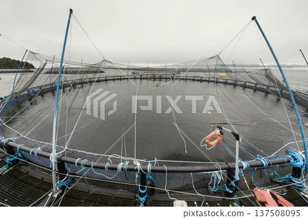 Large fish farm in the water with nets under cloudy sky as background Large fish farm in the water with nets under cloudy sky as background 137508095