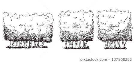 Bush, hedge square shapes sketchy set. Shrubbery for a garden or park illustration. Shrub and tree topiary as a boxwood. Vintage vector illustration of a yard trees in summer isolated on white bg Bush, hedge square shapes sketchy set. Shrubbery for a garden or park illustration. Shrub and tree topiary as a boxwood. Vintage vector illustration of a yard trees in summer isolated on white bg 137508292